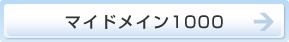  マイドメイン1000